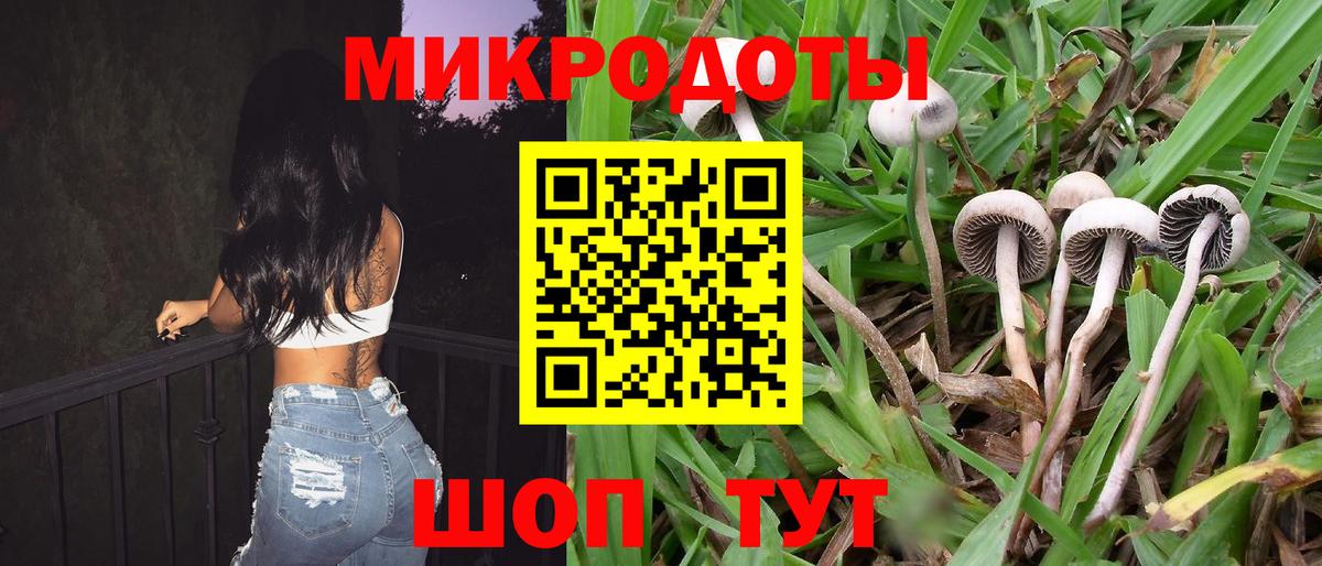 Галлюциногенные грибы Cubensis  Вход с VPN  Артём  Галлюциногенные грибы прущие грибы 
