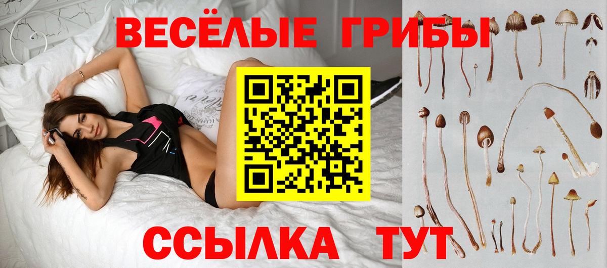 Псилоцибиновые грибы Magic Shrooms Артём
